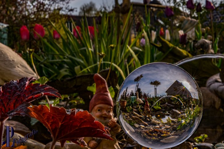 Ein Blick in die Glaskugel