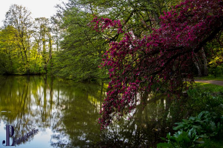 Unterwegs im Stadtpark