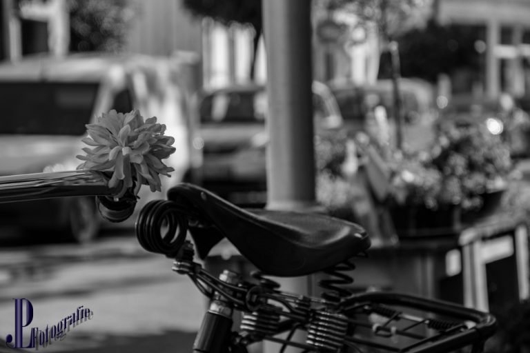 Unterwegs in der Stadt Burgdorf