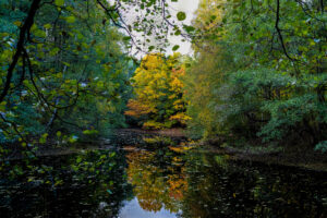 Spaziergang im Herbst
