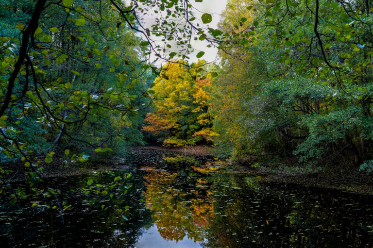 Spaziergang im Herbst